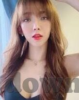 世界杯 历届8强-世界杯历届8强，足球盛宴中的精英对决